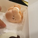 벌쓰데이마카롱