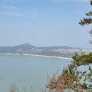 자은임도 이미지