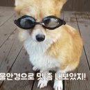 놀자 이미지