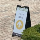 안성시민의 날 기념음악회 | 용인 자작나무숲 수국축제, 용인 가볼 만한 곳 수국 명소 방문후기