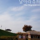 솜나라 이미지