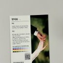 스티플 | W07) 가성비 종이 청첩장 만들기 | 비즈하우스 청첩장 종이 샘플팩 12종 실물 후기