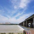 (수정)2017년 8월 4일(금요일) 한강 수영 번개(폭파) 이미지