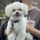 L.cafe엘카페