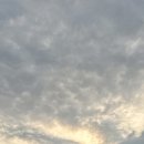 여주-0607 네이버블로그