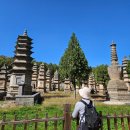 용호탕 | 31 🌿 구름 속에 마음이 쉬어가는 곳, 고창 선운사