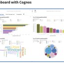 IBM | [Coursera] IBM Data Analyst Professional Certificate 후기