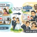 정진행정사사무소 이미지