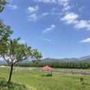 서시천자전거길1 이미지