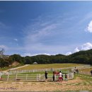 신기목장 이미지