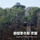 광탄면사무소입구 | 주말 마장호수 출렁다리 주차장위치, 요금, 주차꿀팁