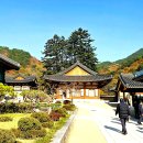 신흥사