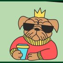 킹스키즈 개린이집 | 인천부평애견유치원 원하는 모든 것이 다 갖춰진 킹스키즈개린이집