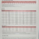 더정형외과의원 | 임신 20주 태아 뇌 물혹(맥락총 낭종)으로 니프티 검사 후기 | 산본제일병원