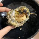 포항 현지인만 아는 찐맛집 물보라상회 아무도 몰랐으면 좋겠는 회 정식 맛집