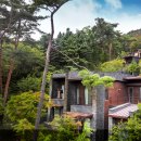 포레스트리솜 이미지