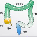 더메디칼 네이버블로그