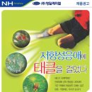 영일광고 이미지