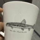 하천(갑천4) | 모두들 정신없이 바쁘신 가운데서도 생다진천 4월 운영위원 워크숍 후기