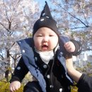 비니앙 네이버블로그