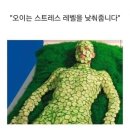 안녕 내가 돌아왔다