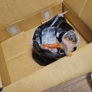 장수인삼족발보쌈 이미지