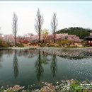 능수모텔 Daum카페