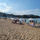 주상절리 전망대 화장실 이미지