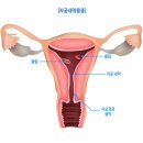 순산부인과의원 이미지