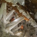 수정-109 이미지