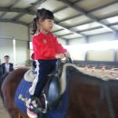 한성농원 이미지