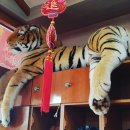 대청마루 손짜장 이미지