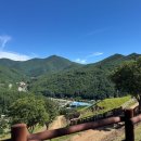 산양목장 | [강원도 태백여행] 몽토랑 산양목장 후기 서울보다 시원한 여름여행지