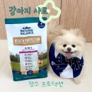 건강한 강아지 사료 추천, 내추럴발란스 헬스 프로텍션 급여 후기