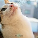 마리젠 이미지