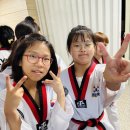 경희대박사 참태권도장 이미지