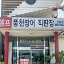 신화장어 이미지
