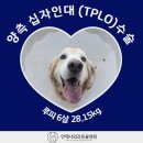언제나동물병원 이미지