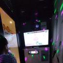 코인쏭 노래뮤비방 이미지