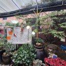 국내산 싱싱 연탄 산곰장어 | 부산 연산동 | ‘국내산싱싱연탄산꼼장어’ 곰장어 맛집