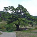 묘산고택 이미지