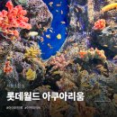 잠실 롯데월드 아쿠아리움 위치, 주차, 40% 할인, 벨루가, 입장권