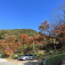 백룡농장 | [강원도영월] 태화산최단코스 l 태화산 흥교태화산농장코스 l 태화산백운산1일2산