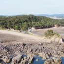 언덕위에 작은 민박 이미지