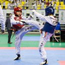 대한태권도체육관 이미지