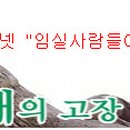 임실상가윷판형암각화유적 이미지