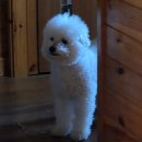 개암 | 부안 야외바베큐가 가능한 개암죽염 24시 '개암힐링찜질방' 방문후기