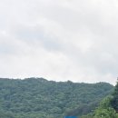 수펜라이드