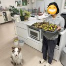 아멘농장 이미지