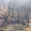 구불5길(물빛길) 이미지